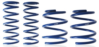 Cobb_08STI_springs