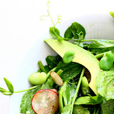 Pea Shoot Salad with Fava Beans