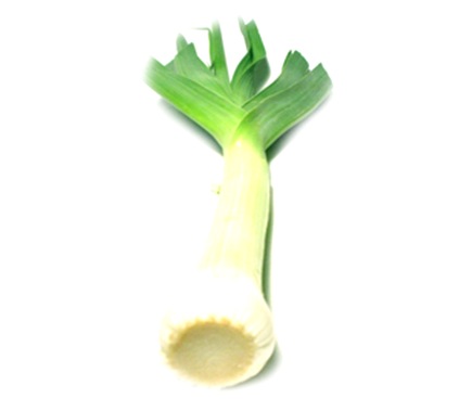 FRUTOS DA TERRA