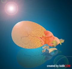 bayi osop