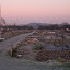 Ben's Allotment garden