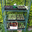 Ben's Greenhouse garden