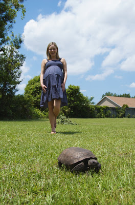 kelly and the turtle kelly and the turtle
