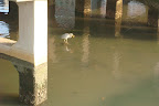 a crane