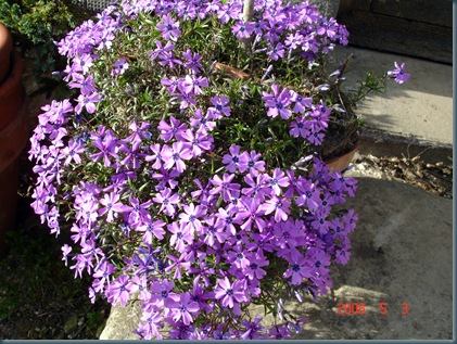 DSC00026