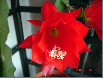 DSC00005