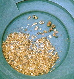 [250px-Alaska_Gold_in_pan[6].jpg]
