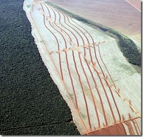 Brazil Soybeans