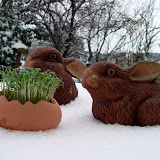 White Easter