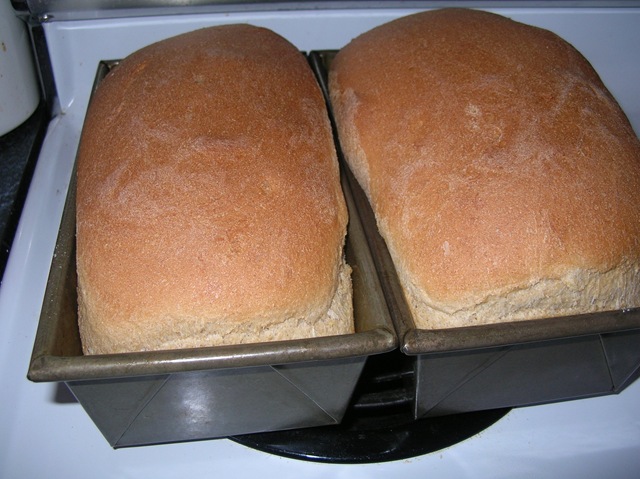[DSCN07274.jpg]