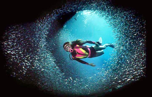 [scuba_dive006_lge[4].jpg]