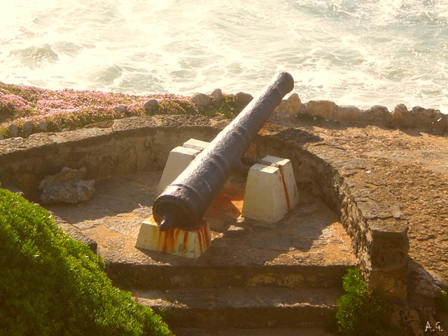 [P4240024[23].jpg]