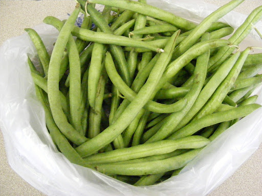 A pound of fresh green beans