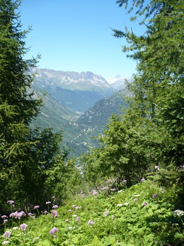 [P10100942.jpg]