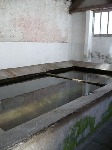 [P10101772.jpg]