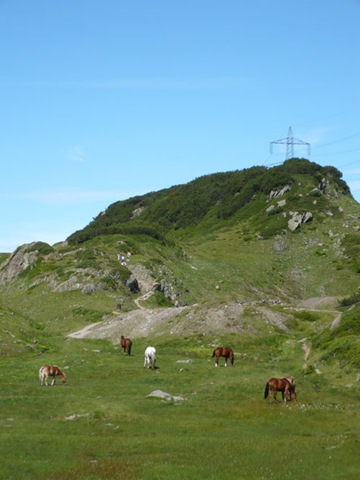 [P10103982.jpg]