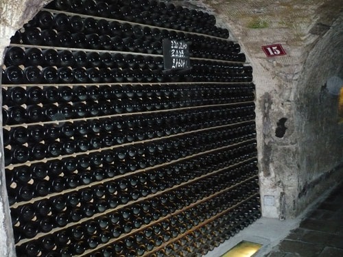 [P1010447[2].jpg]