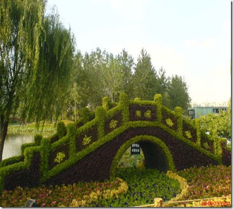 image006