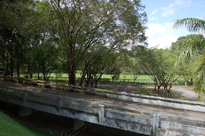Area next to former airmen's pool overlooking Changi Padang
