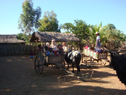 http://lh4.ggpht.com/anne.page17/SKLeuyCWCqI/AAAAAAAABnE/FuIsroiBdvQ/DSC01451.JPG?imgmax=512