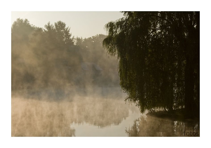 Etangs de Maransart - Brabant Wallon - Belgique - Anne-Sarine Limpens 2008