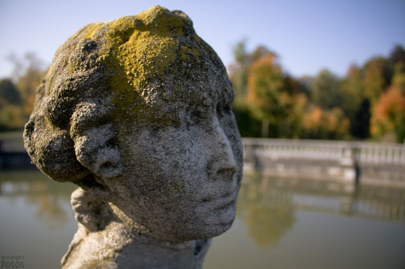 Troubles - Parc d'Enghien - Hainaut - Belgique - Anne-Sarine Limpens - 2008