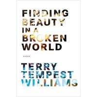 finding beauty in a broken world