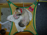DSCN2339-01.jpg