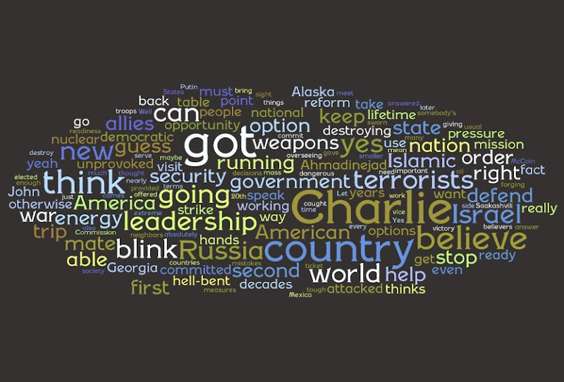 Wordle - Palin 1.jpg