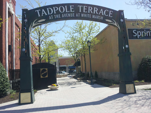 Tadpole Terrace 