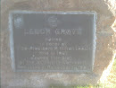 Leech Grove