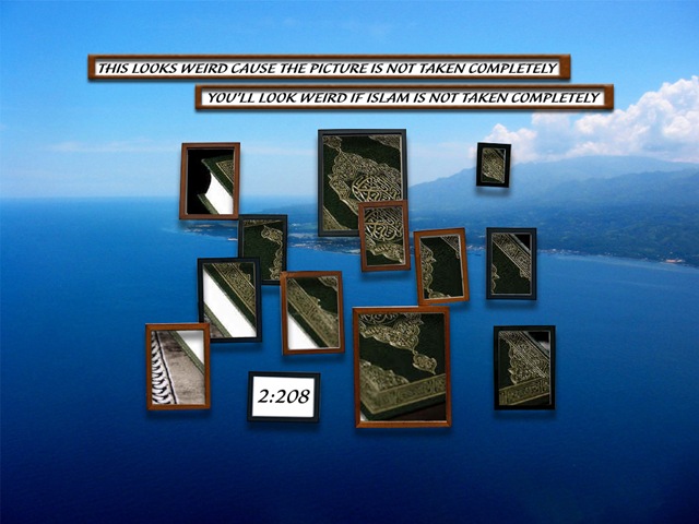 [frames[3].jpg]