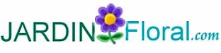 Enviar Flores Para Republica Dominicana