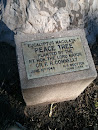 Peace Tree