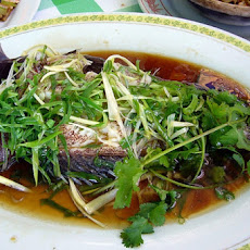 Steamed Fish with Scallions and Ginger