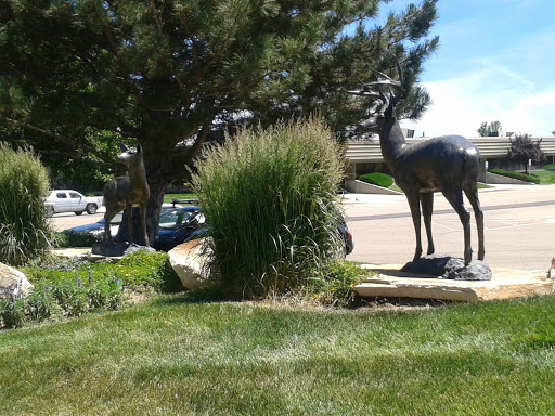 Lefthand Circle Deer Statue