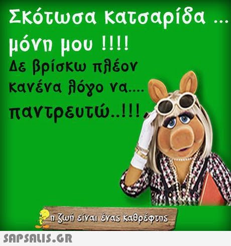 Σκότωσα κατσαρίδα μόνη μου !!!! Δε βρίσκω πλέον Κανένα αόγο να παντρευτώ !! 