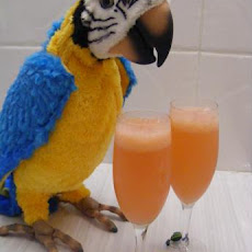 Oriental Blossom Fizz