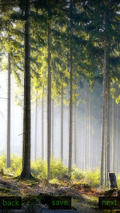 How to install Inspic Forest Wallpapers HD lastet apk for android