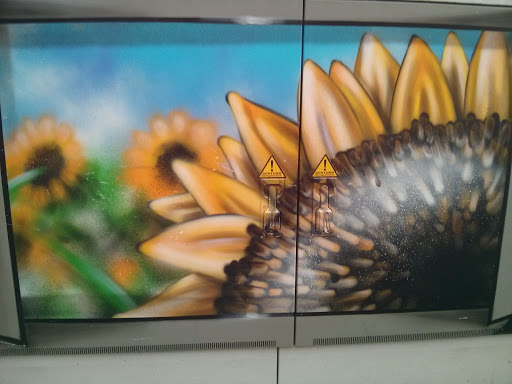 Sonnenblumenkasten