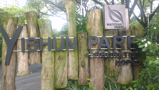 Yishun Park +Arboretum Hopea