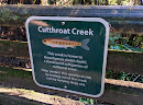 Cutthroat Creek