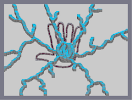 Thumbnail of the map 'Energy Bold'