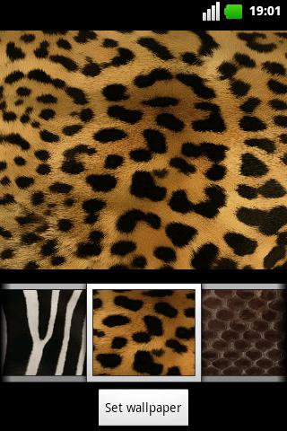 【免費個人化App】Animalier ADW Theme-APP點子