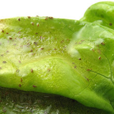 Celery Seed Vinaigrette
