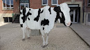 Concordia Cow