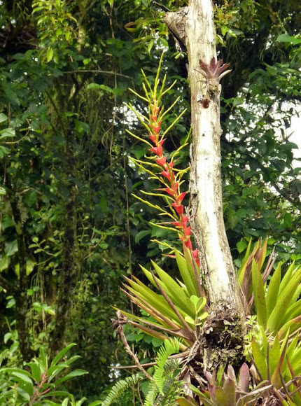 Spotting Image 1