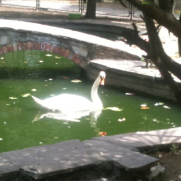 Spotting Image 1