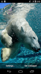 How to install Polar Bear Underwater lastet apk for laptop