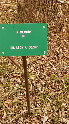 In Memory of Dr. Leon Dozer